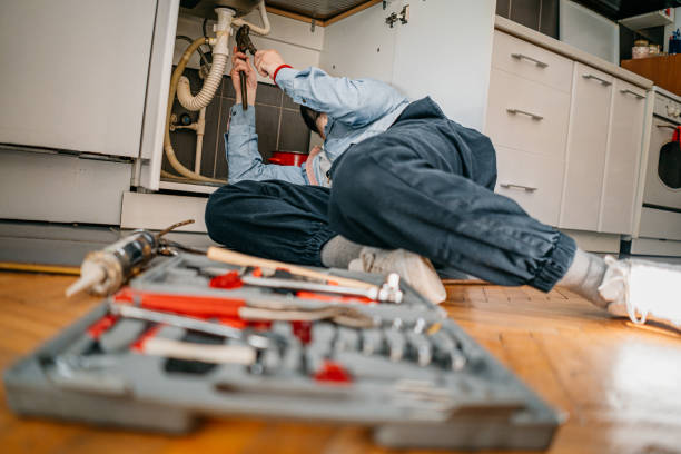 Best Toilet Repair Services  in Rogersville, AL