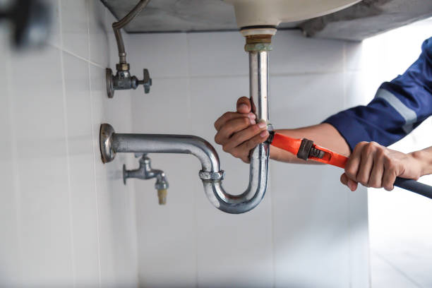 Best Septic Systems  in Rogersville, AL
