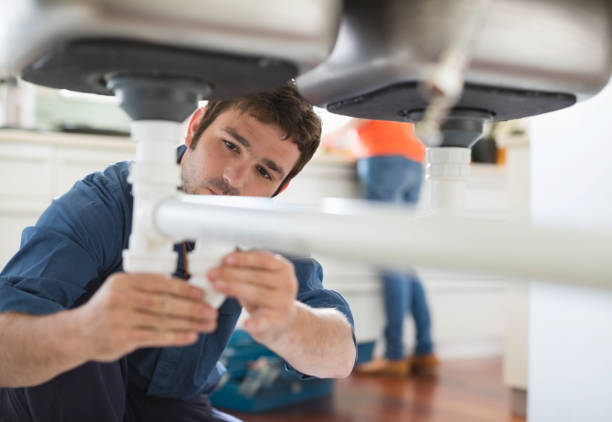 Best Plumbing Inspection Services  in Rogersville, AL