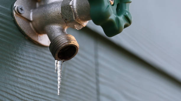 Best Affordable Plumbing Services  in Rogersville, AL