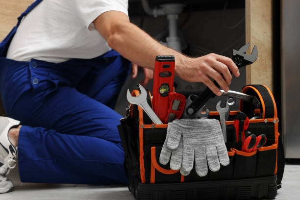 Best Affordable Plumber Near Me  in Rogersville, AL